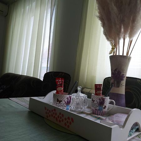 Stancicmilena Apartman Pozsarevác Kültér fotó