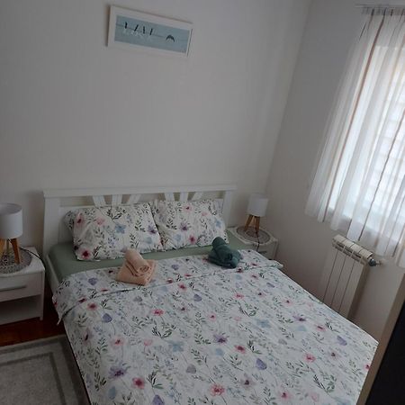 Stancicmilena Apartman Pozsarevác Kültér fotó