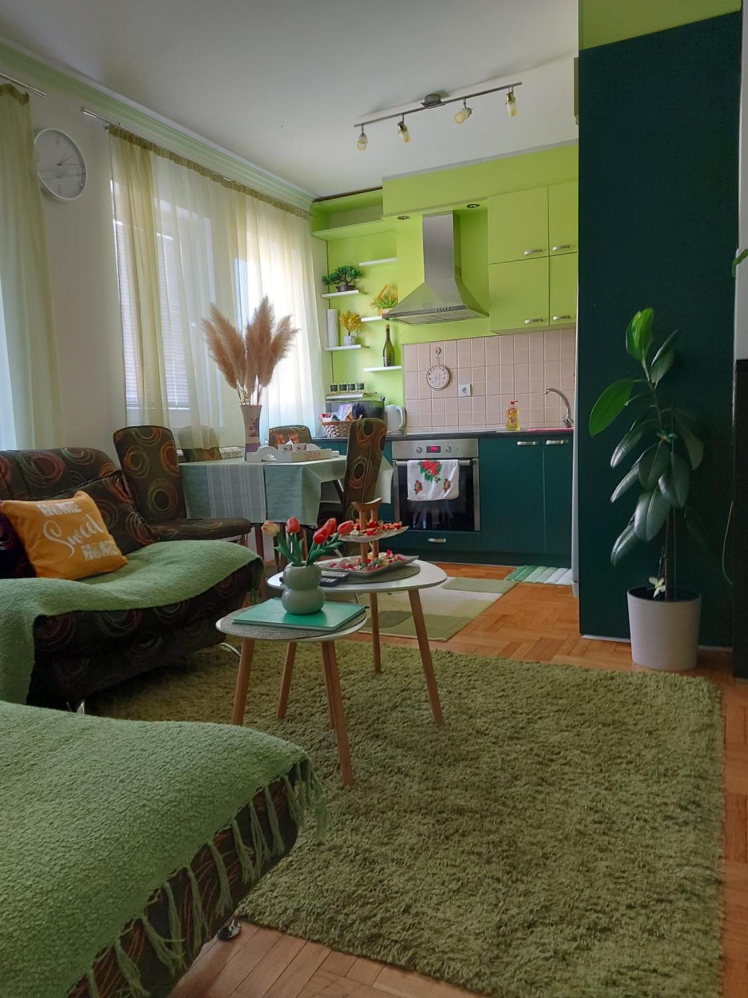 Stancicmilena Apartman Pozsarevác Kültér fotó