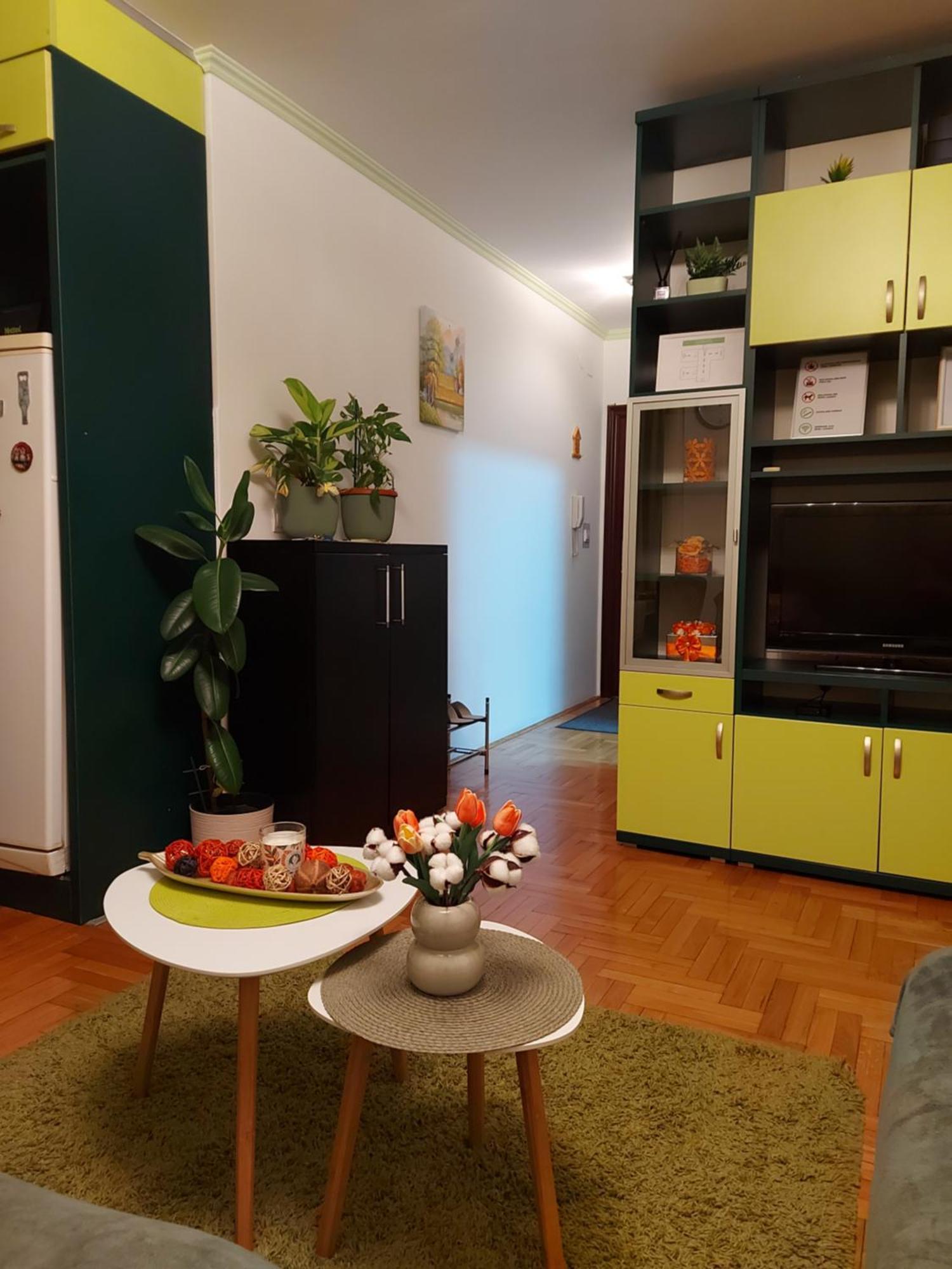 Stancicmilena Apartman Pozsarevác Kültér fotó