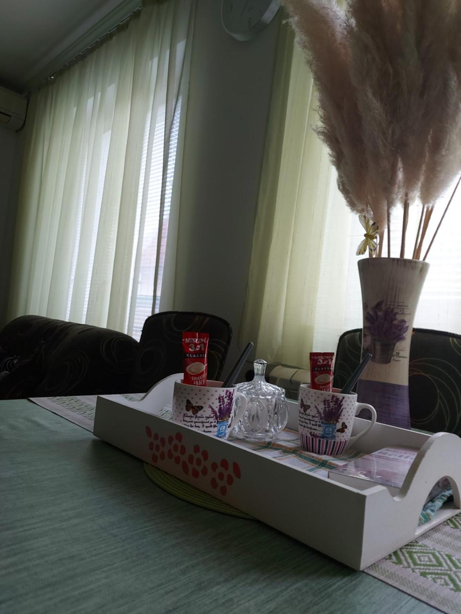 Stancicmilena Apartman Pozsarevác Kültér fotó