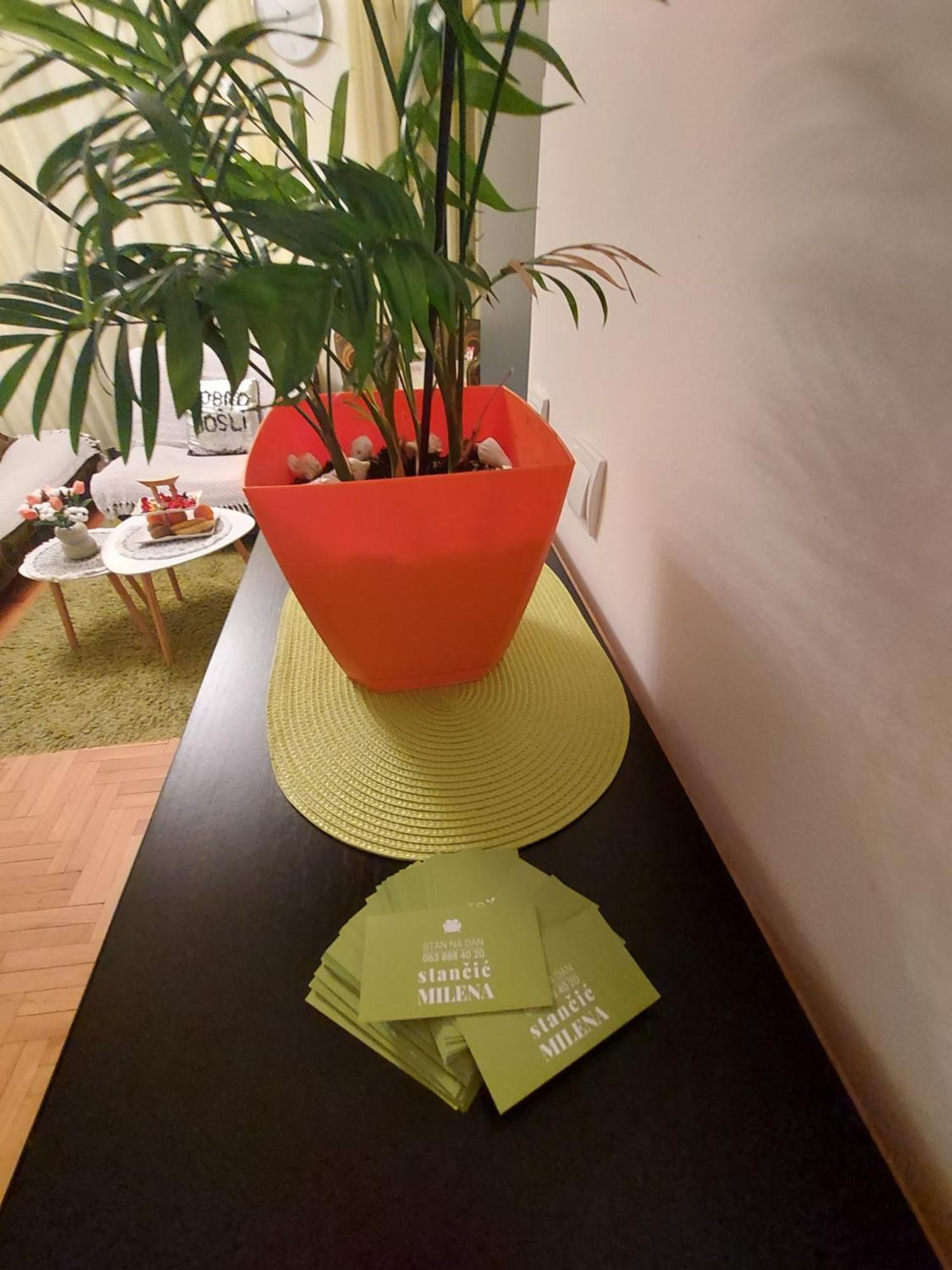 Stancicmilena Apartman Pozsarevác Kültér fotó
